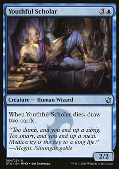 Youthful Scholar